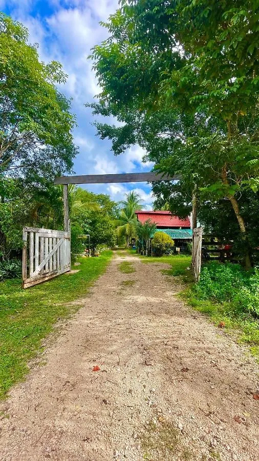 Camping Rancho Los Quinones Leona Vicario México
